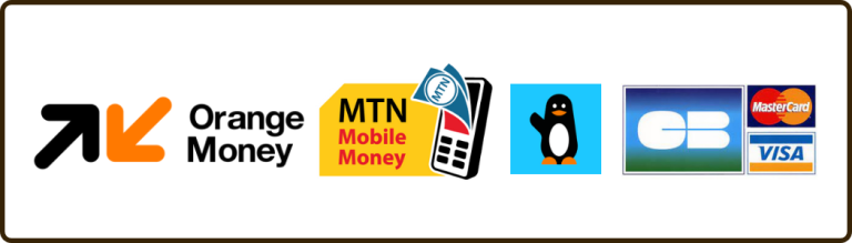 Nous acceptons les paiements mobile money pour votre hebergement web en côte d'ivoire